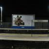 Hendon Platform bears